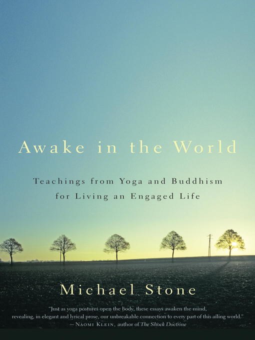 Title details for Awake in the World by Michael Stone - Available